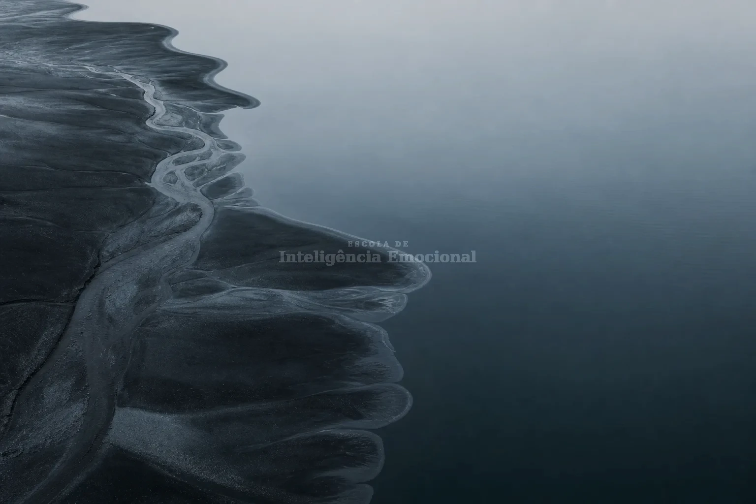 Como Dominar a Regulação Emocional em 7 Passos Científicos